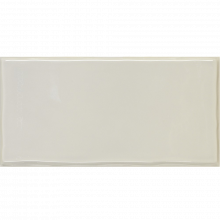 Trendy Reminscent Gris Brillo